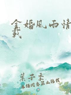 金婚风雨情 下载