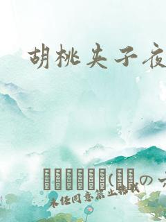 胡桃夹子夜未眠