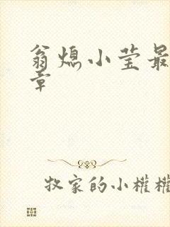 翁熄小莹最新节章