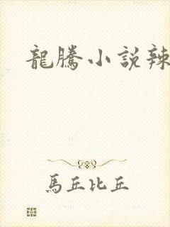 龙腾小说辣文网