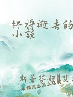 终将逝去的青春小说