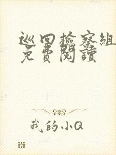 巡回检察组小说免费阅读