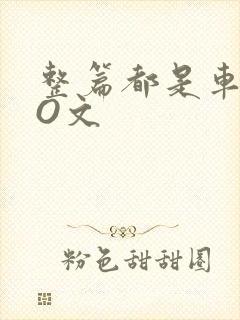 整篇都是车的PO文