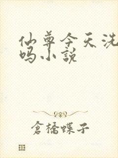 仙尊今天洗白了吗小说