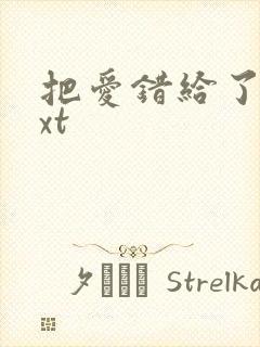 把爱错给了你txt