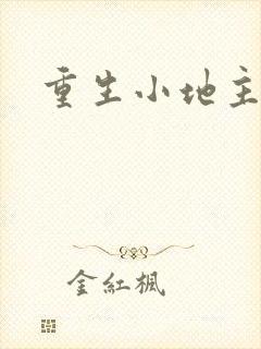 重生小地主u8