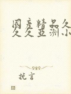 国产精品久久久久久亚洲小说