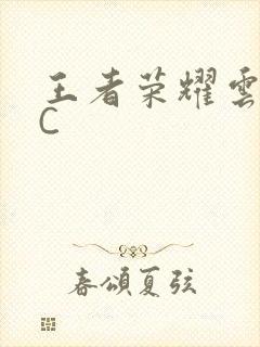 王者荣耀云缨被C