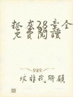 抓灰28章全部免费阅读