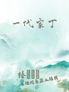 一代家丁