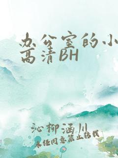 办公室的小秘书高清BH