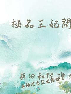 极品王妃闹王府