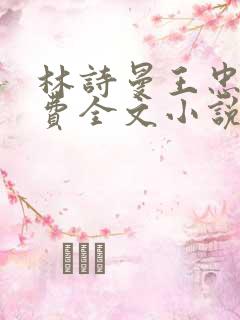 林诗曼王忠文免费全文小说的名称