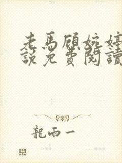 老马顾婉婷的小说免费阅读