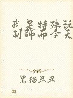 我是特殊玩具定制师而今天的客户