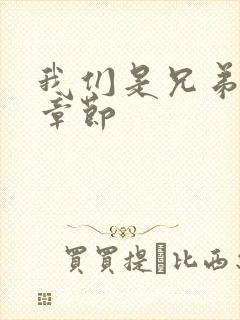我们是兄弟最新章节