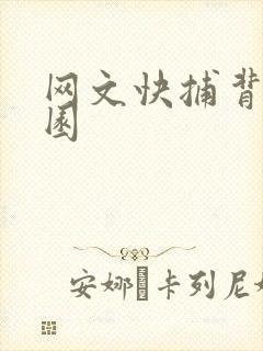 网文快捕背影家园