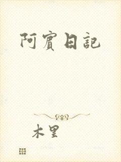 阿宾日记