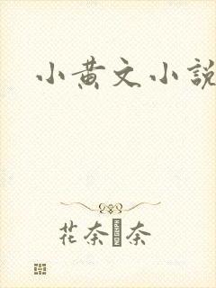 小黄文小说