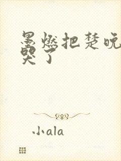 墨燃把楚晚宁C哭了