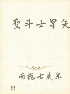 圣斗士星矢小说