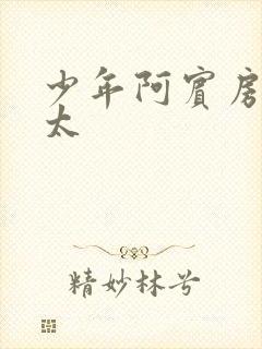 少年阿宾房东太太