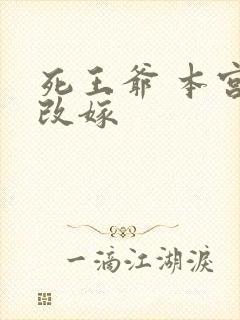 死王爷 本宫已改嫁