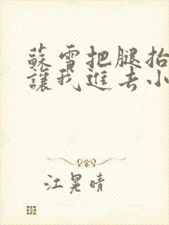 苏雪把腿抬起来让我进去小说