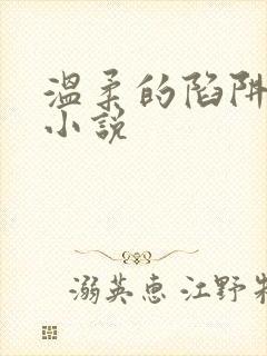 温柔的陷阱周芸小说