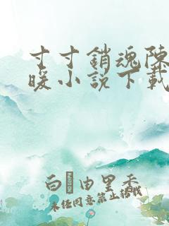 寸寸销魂陈聪王暖小说下载