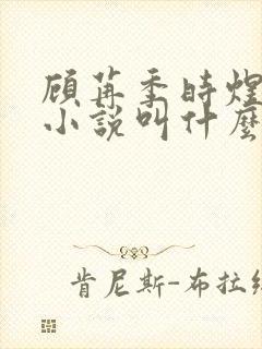 顾苒季时煜电竞小说叫什么名字