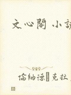 文心阁 小说