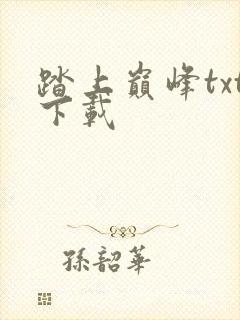 踏上巅峰txt下载