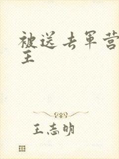 被送去军营的公主