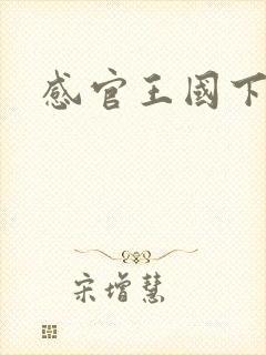 感官王国下载