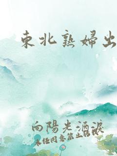 东北熟妇出租屋