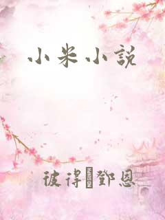 小米小说