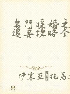 名门暖婚之权爷追妻攻略全文免费阅读