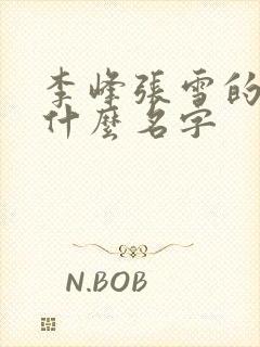 李峰张雪的书叫什么名字