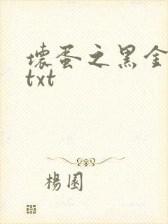 坏蛋之黑金帝国txt