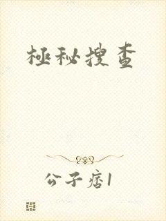 极秘搜查