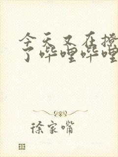 今天又在撩后妈了哔哩哔哩小说