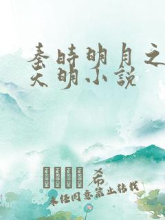 秦时明月之夜尽天明小说