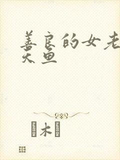 善良的女老师木天鱼