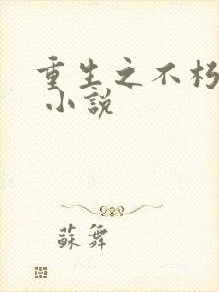 重生之不朽传奇 小说