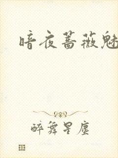 暗夜蔷薇魅之伤