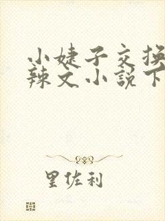 小婕子交换系列辣文小说下载