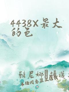 4438X最大的色