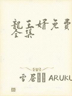 龙王婿免费完结全集