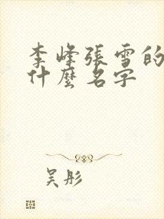 李峰张雪的书叫什么名字